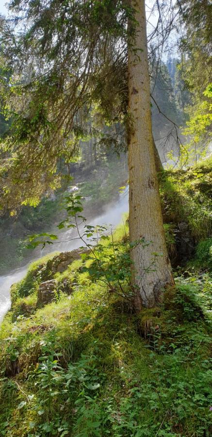 Wettermatte Βίλα Kiental Εξωτερικό φωτογραφία